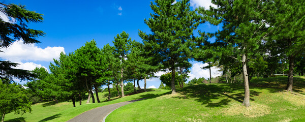 青空のゴルフ場・丘に囲まれた上り坂の空へと続くカート道・一本道のパノラマ（千葉県木更津市）