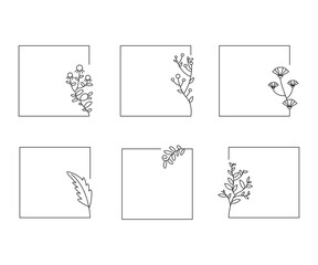 decorative floral frames set line illustration