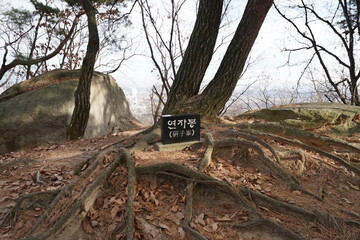 韓国　ソルボン公園の風景(イチョン)