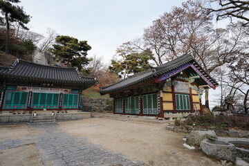 Fototapeta na wymiar 韓国　ソルボン公園の風景(イチョン)