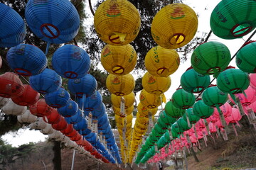 韓国　ソルボン公園の風景(イチョン)