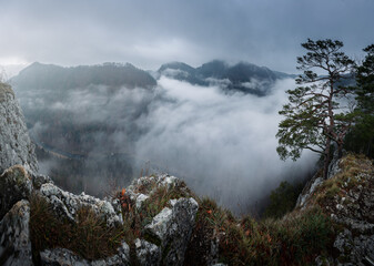 fog over the mountains © Sieku Photo