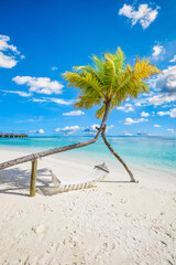 Fototapeta na wymiar Tropical relax beach as summer island landscape with beach swing or hammock on palm, close to fantastic sea view. Amazing beach panorama vacation and summer holiday concept. Luxury panoramic travel 
