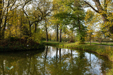 Fototapeta na wymiar Trees reflecting in a natural water pond , Rotselaar, Belgium