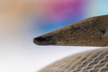 close up of a pencil