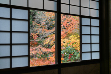 秋の京都市山科の毘沙門堂宸殿から観る庭園