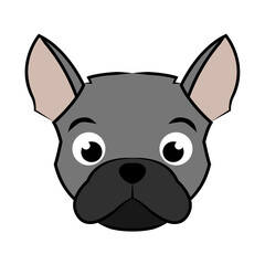 Black and white line art of french bulldog head Good use for symbol mascot icon avatar tattoo T Shirt design logo or any design