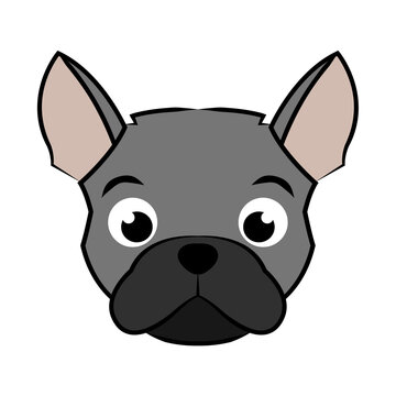 Black and white line art of french bulldog head Good use for symbol mascot icon avatar tattoo T Shirt design logo or any design