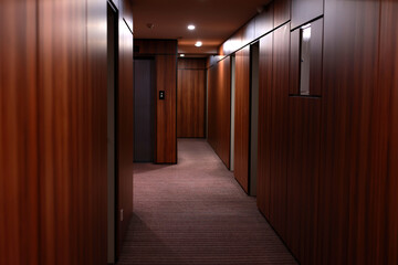 Empty dark interior of the modern Hotel corridor, with wood-paneled walls, elegant carpets and...