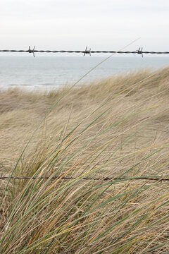 Barbed wire fence in front of coast
