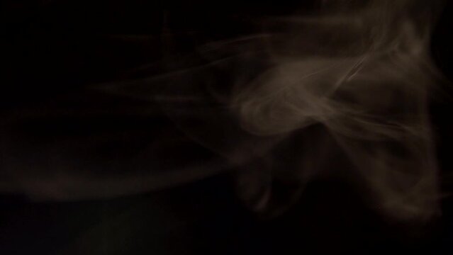 Curling tobacco smoke on a black background close-up