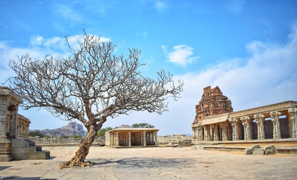 The world heritage site of Hampi in Indian state of Karnataka is in the picture with tree and clear blue sky