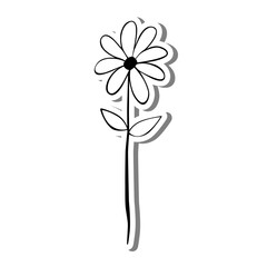 Monochrome flower on white silhouette and gray shadow. Vector illustration for decoration or any design.
