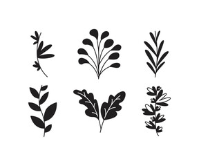 leaves and branch set vector illustration