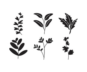 leaves and branch set vector illustration