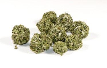 Beifuß Moxa Moxakraut