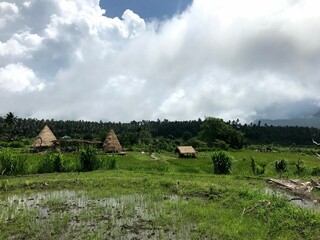 Obraz premium Village in the mountains of Bali island, Indonesia