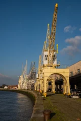 Gordijnen The remaining industrial part of Antwerp port with collection of cranes for loading and unloading cargo to boats on the bank of the river scheldt  © drew