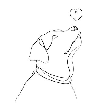 Line drawing of labrador, dog vector illustration