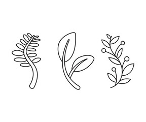 decorative leaves icons set vector line illustration