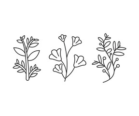 decorative leaves icons set vector line illustration