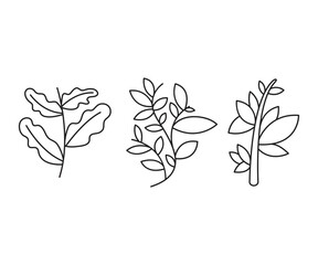 decorative leaves icons set vector line illustration