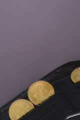 Bitcoin in the wallet on gray background. new cryptocurrency concept