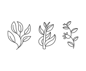 leaves icons set vector line illustration