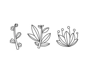leaves icons set vector line illustration