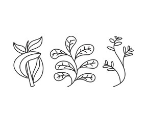 leaves icons set vector line illustration