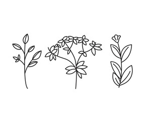 leaves icons set vector line illustration