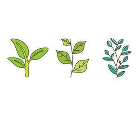 leaves and branch set vector illustration