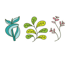 leaves and branch set vector illustration