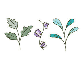 leaves and branch set vector illustration