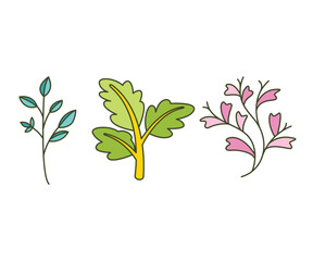 leaves and branch set vector illustration