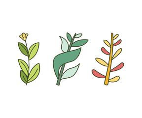 leaves and branch set vector illustration