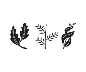 leaves and branch set vector illustration