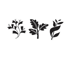 leaves and branch set vector illustration