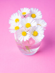 close up of a bunch of daisies on a vase