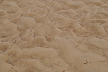 Wet sand