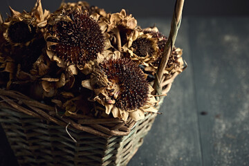 Basket with dries sunflowers, close up look