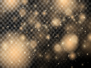 Glow light effect. The star burst into sparkles. Golden glitter. On a transparent background.