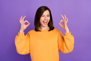 Portrait photo of young adorable gorgeous lady wear sweater blink eye showing okey sign recommend new offer isolated on violet color background