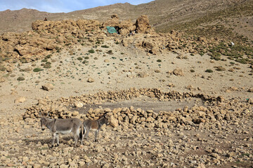 La grande traversée de l’Atlas au Maroc, 18 jours de marche. Chemin des transhumances, découvertes des gouffres, Tizi N'Asdrem, vallée de la Tessaout, village de Tasgaiwalt.
