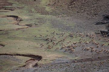 La grande traversée de l’Atlas au Maroc, 18 jours de marche. Chemin des transhumances, découvertes des gouffres, Tizi N'Asdrem, vallée de la Tessaout, village de Tasgaiwalt.