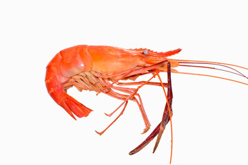 Cooked shrimps isolated on white background