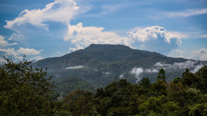 Mountain and Cloud landscape. Beautiful Landscape of mountain