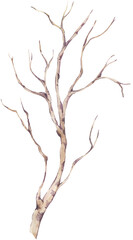 Chinoiserie tree branch transparent png