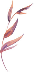 Watercolor leaf botanical transparent png
