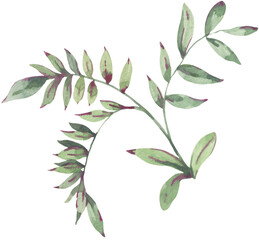 Watercolor leaf botanical transparent png